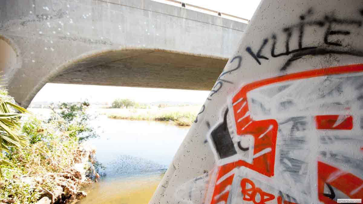 Street art is found under a bridge